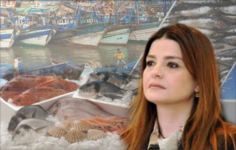 الفيدرالية الاقليمية للصيد البحري بإقليم الجديدة تحتفي بمديرة المكتب الوطني للصيد البحري