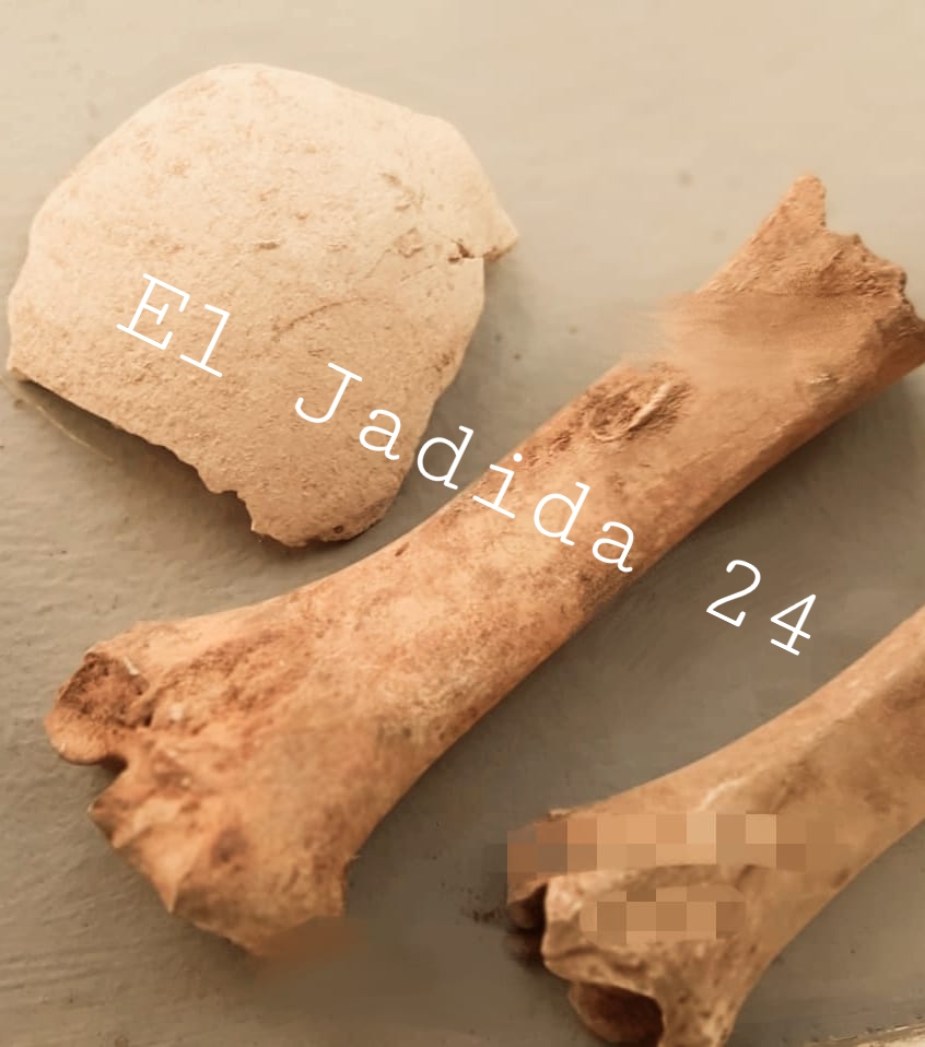 إكتشاف عظام بشرية اثناء أشغال بناء ''فيلا'' بجماعة اثنين شتوكة