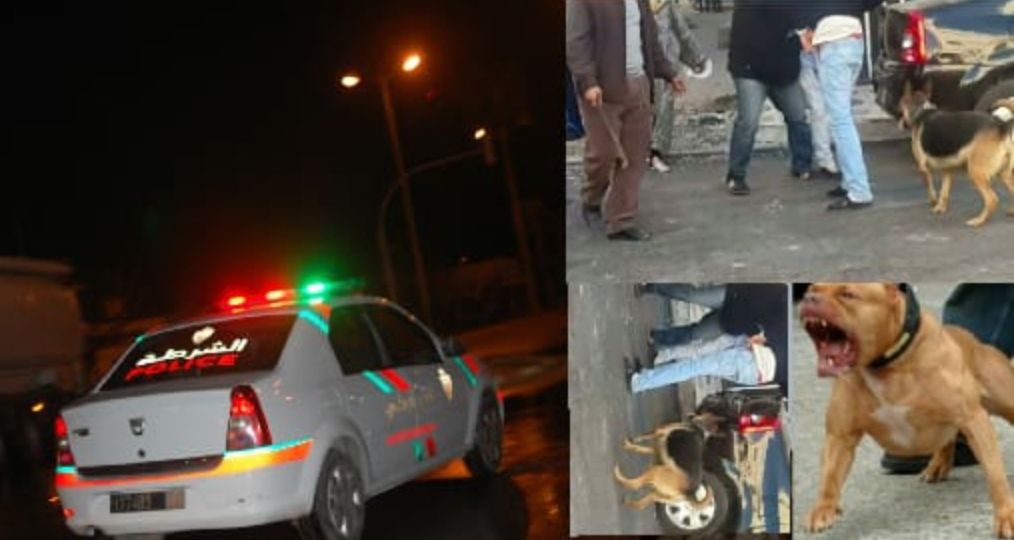 بعد استعانته بالكلاب الشرسة..  مجرم خطير يفر من قبضة الشرطة بمدينة البئر الجديد مباشرة بعد توقيفه