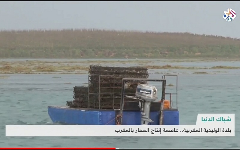 الواليدية: قناة العربي TV تبث ربورطاجا حول عاصمة المحار بالمغرب