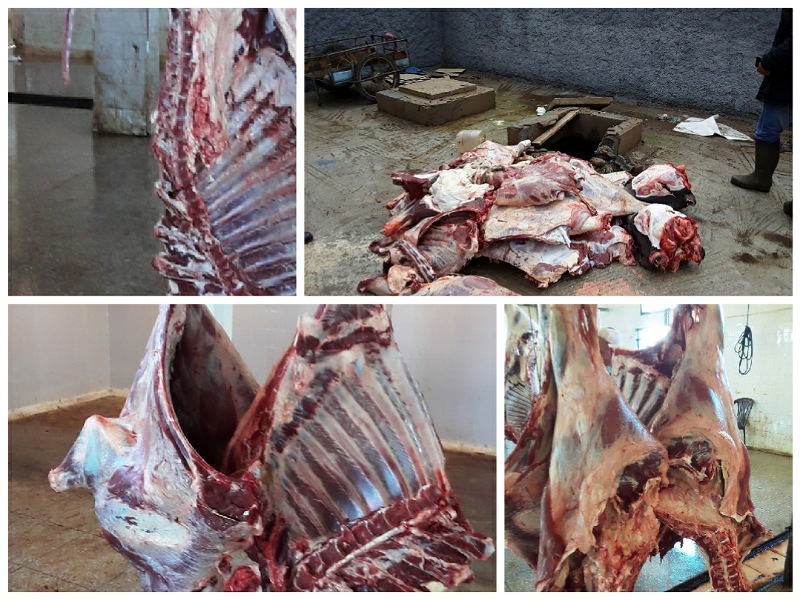 المصالح البيطرية تضبط لحوم فاسدة بمجزرة البئر الجديد