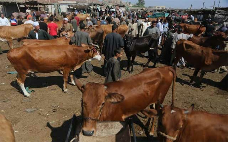 مليار و700 مليون سنتيم  هي سومة كراء السوق الأسبوعي بسيدي بنور