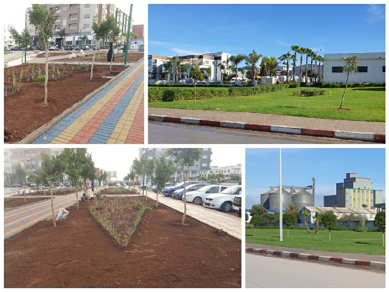 في غياب المجلس الجماعي.. مستثمرون وخواص ينشئون حدائق ومساحات خضراء بالجديدة من الطراز الرفيع