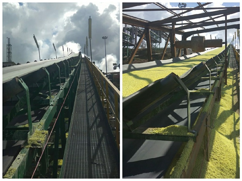 المجمع الشريف للفوسفاط يعيد تشغيل الناقل المطاطي للكبريت في أقل من اسبوعين