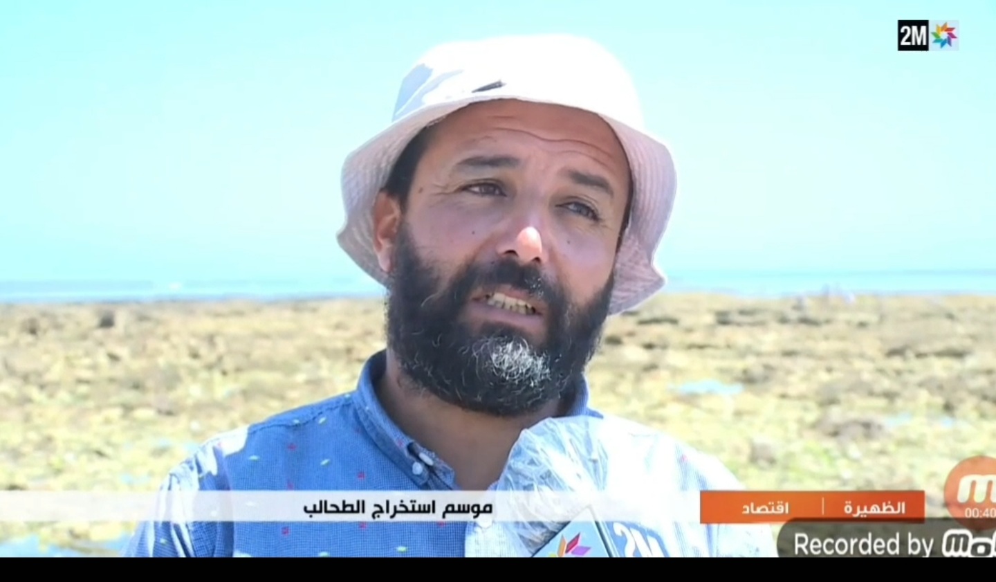 تحقيق القناة الثانية من الجديدة حول مقاطعة المهنيين لموسم جني الطحالب البحرية