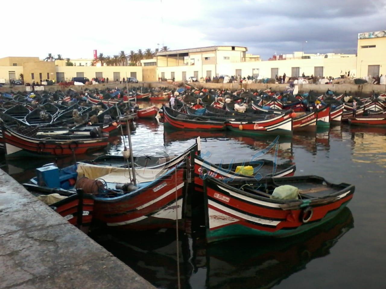 مهنيون في قطاع الطحالب البحرية يرفضون تمدید موسم جني الطحالب بالجديدة