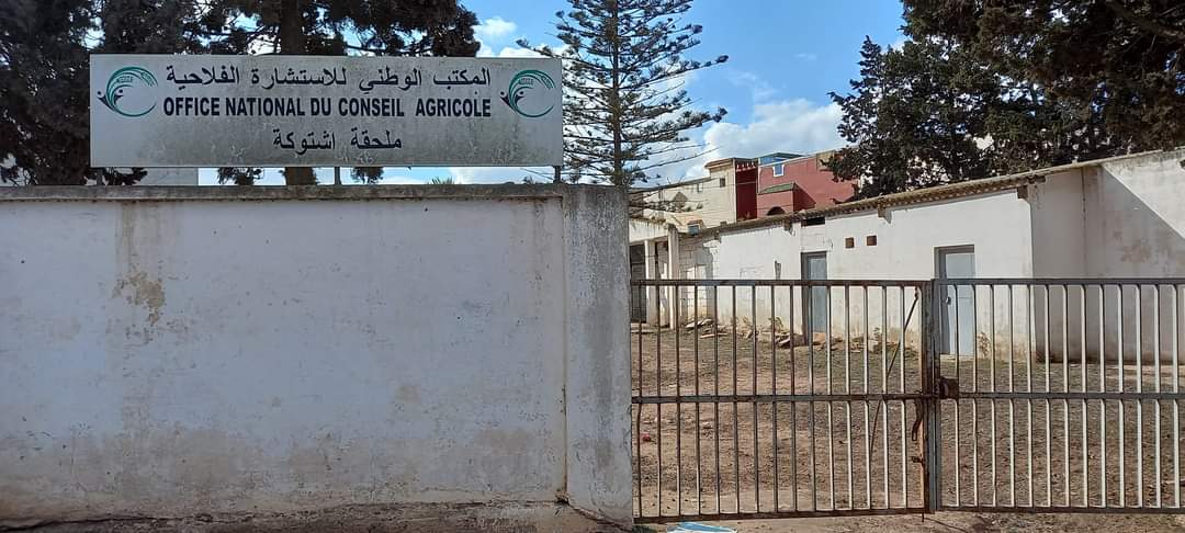 فلاحو جماعة اثنين شتوكة يبدأون موسمهم الفلاحي بدون مكتب للاستشارة الفلاحية وبدون بذور فلاحية