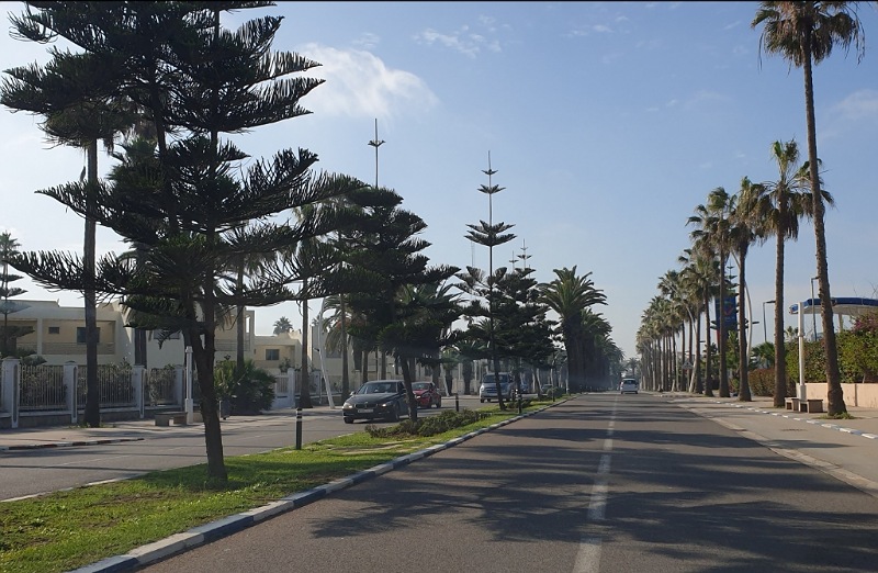 صفقة صيانة المساحات الخضراء بالجديدة : رئيس الجماعة يرد على ملاحظات المعارضة بالمجلس