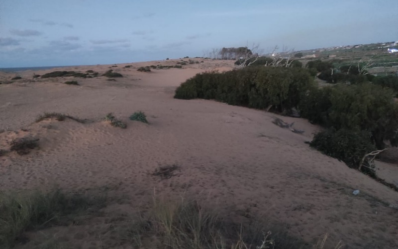 مواطنون بجماعة أولاد غانم يطالبون بالتدخل لوقف الاستيلاء على الأراضي السلالية من طرف مافيا العقار