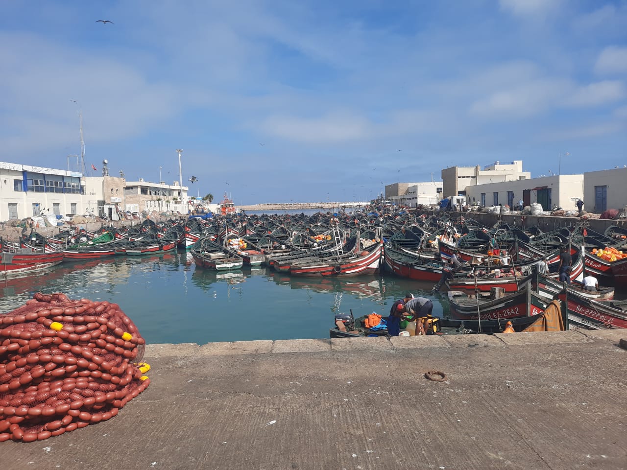 إحباط عملية اجرامية لسرقة قارب للصيد التقليدي بميناء مدينة الجديدة