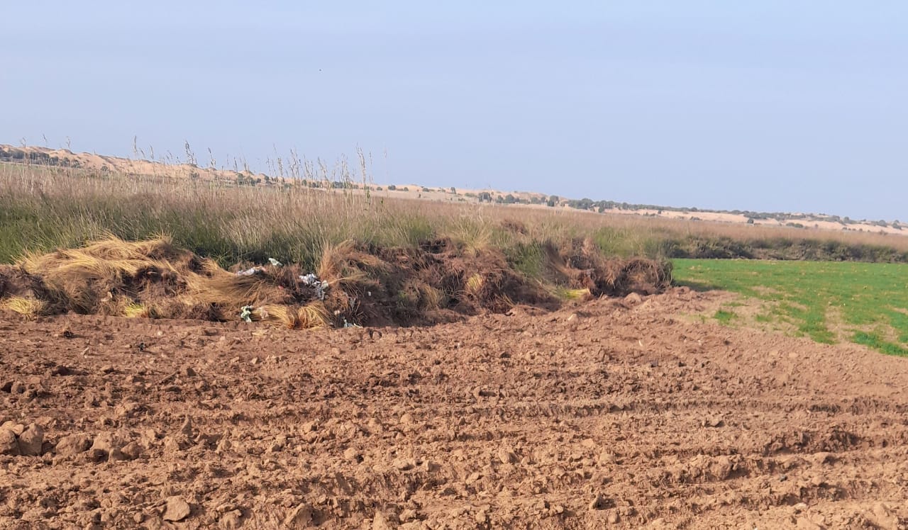 تخريب المناطق الرطبة باقليم الجديدة . هل من منقذ ؟