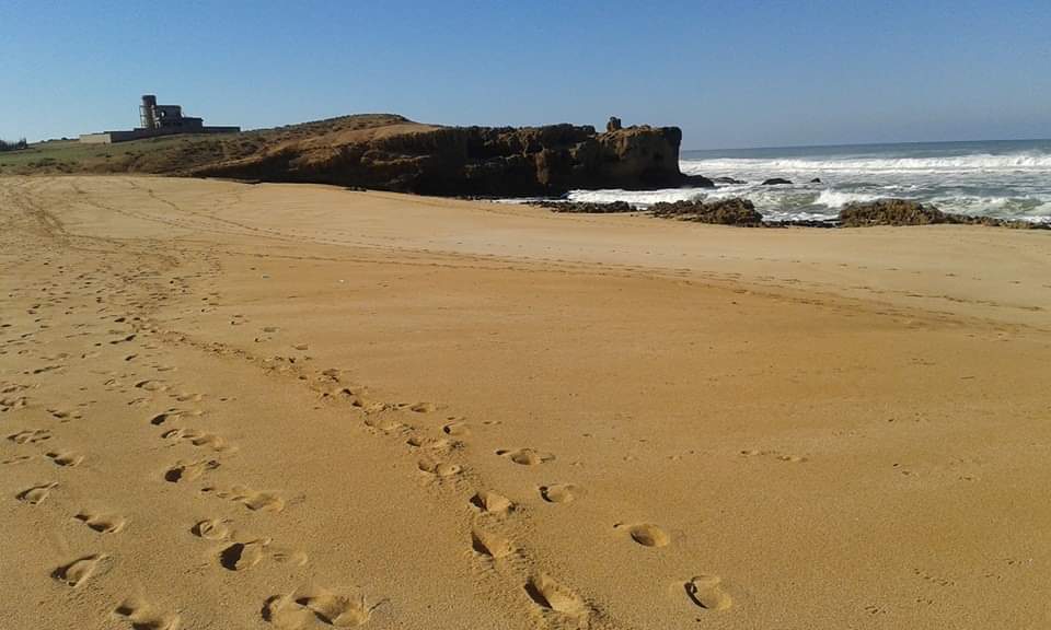 سلطات اولاد غانم تشن حملة لهدم البنايات العشوائية المطلة على الساحل الأطلسي