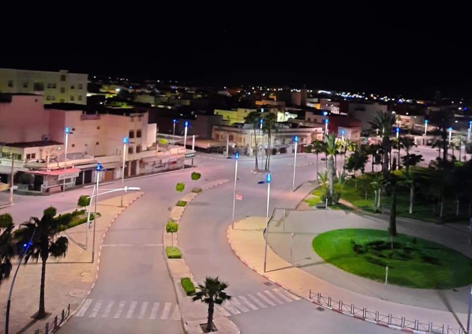 هيئة حقوقية تستنكر تفشي ظاهرة الكلاب الضالة بمدينة سيدي بنور