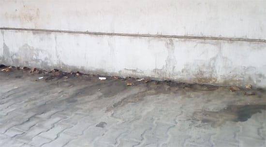 التبول في الأماكن العمومية.. ظاهرة تأبى الزوال