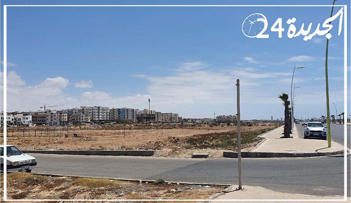 جماعة الجديدة تختار ساحة جديدة قرب شارع النصر لاقامة سوق بيع أضاحي العيد