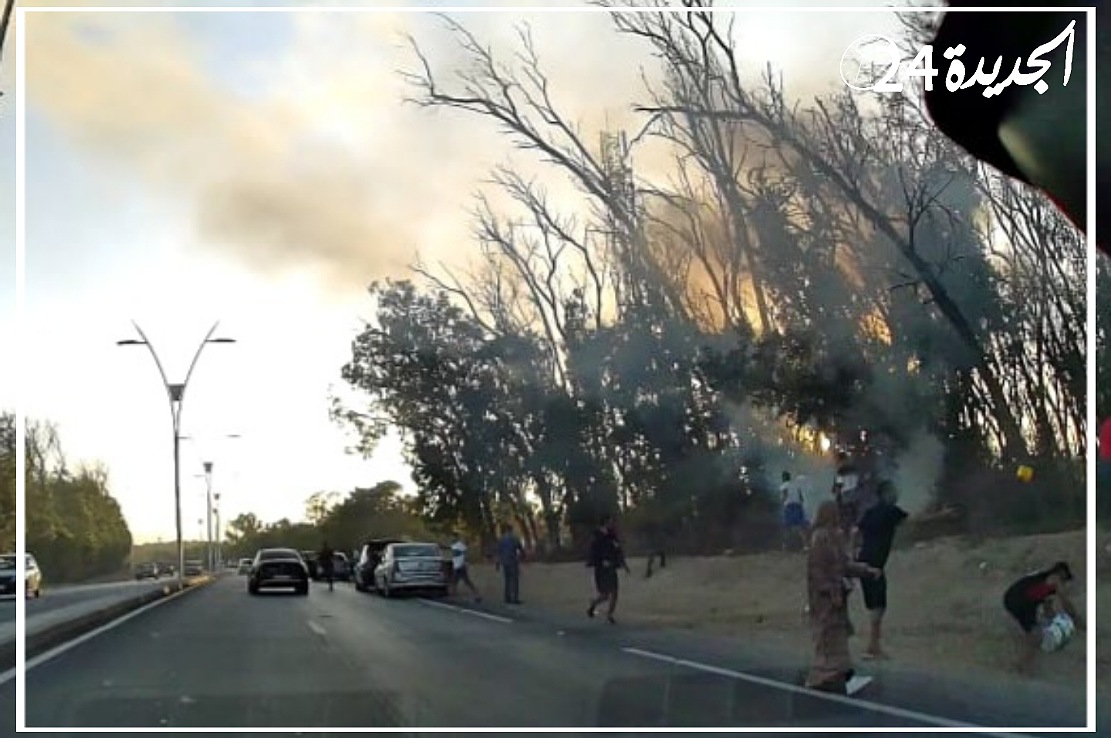 تدخل بطولي لرجال الوقاية المدنية بالجديدة ينجح في اخماد حريق مفعتل بغابة الحوزية