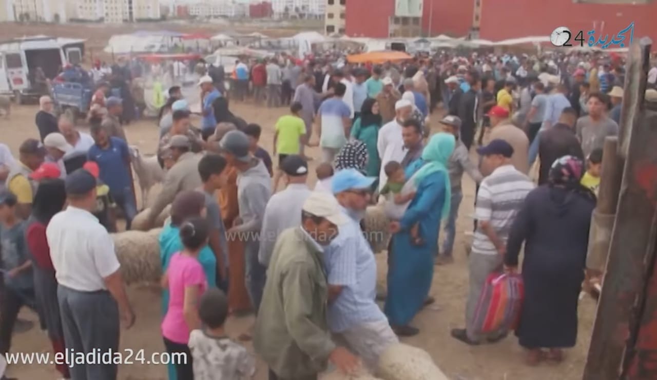 المعارضة تطالب عامل الجديدة  بترتيب الآثار القانونية لاخلال جماعة  الجديدة بطلب العروض المتعلق بكراء 'رحبة الغنم'