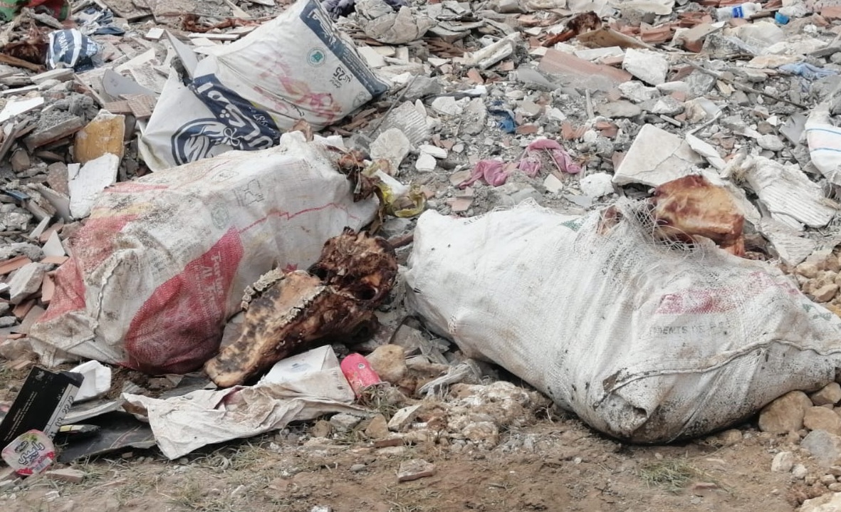 شاهد.. العثور على عظام لحيوانات مكدسة داخل أكياس بحي المطار قرب مرجان الجديدة