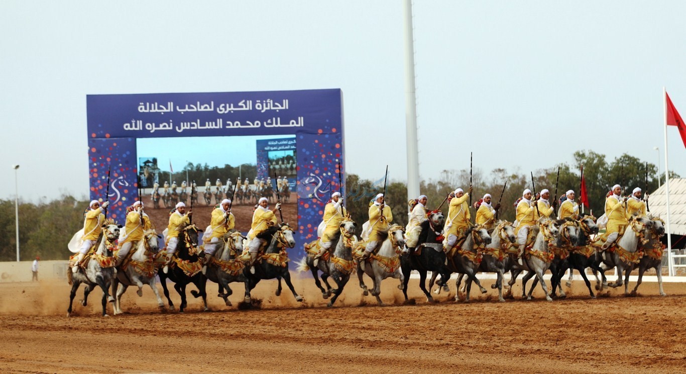 معرض الفرس ... انطلاق منافسة الجائزة الكبرى لجلالة الملك محمد السادس للتبوريدة في نسختها الخامسة