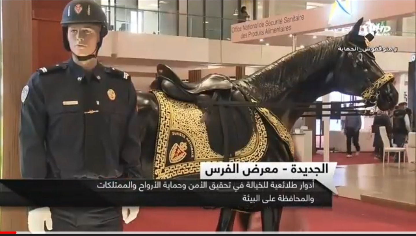 ربوروطاج : زيارة لأروقة الخيالة للأمن الوطني والدرك الملكي بمعرض الفرس للجديدة