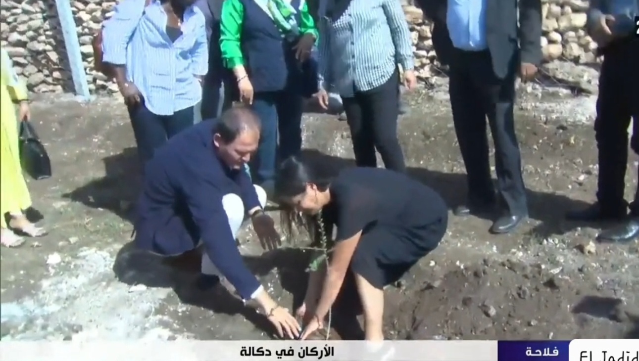مبادرة نموذجية بدكالة.. زراعة شجر الأركان بمنطقة فلاحية بجماعة أولاد حمدان