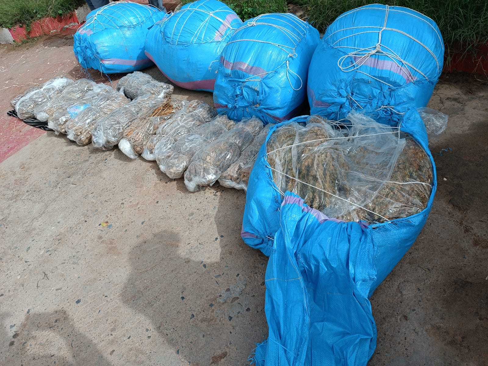 الدرك الملكي بالمركز الترابي لسيدي بنور يوقف خمسينيا للاشتباه في تورطه بترويج المخدرات