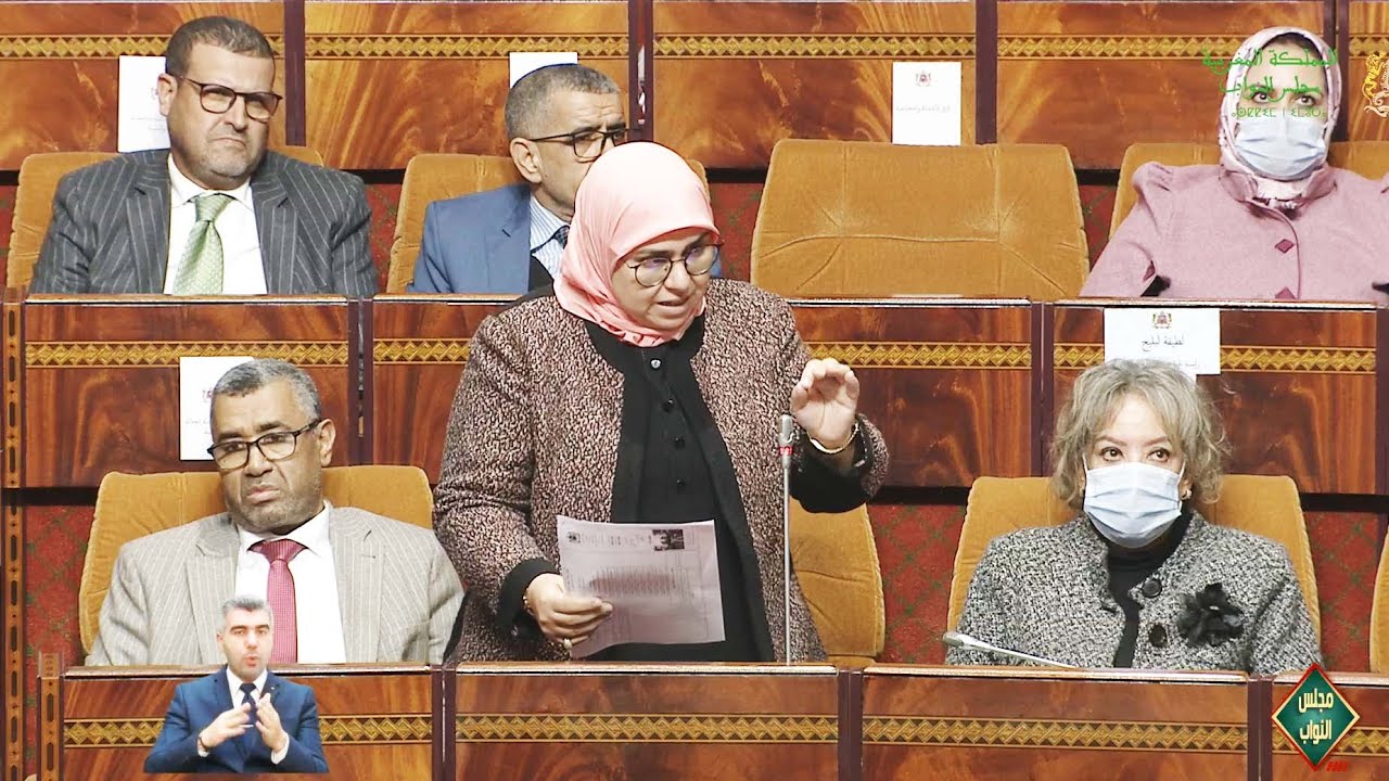 البرلمانية هند الرطل بناني تسائل وزير الفلاحة حول ملف غلاء لحوم الأبقار وطريقة استيرادها