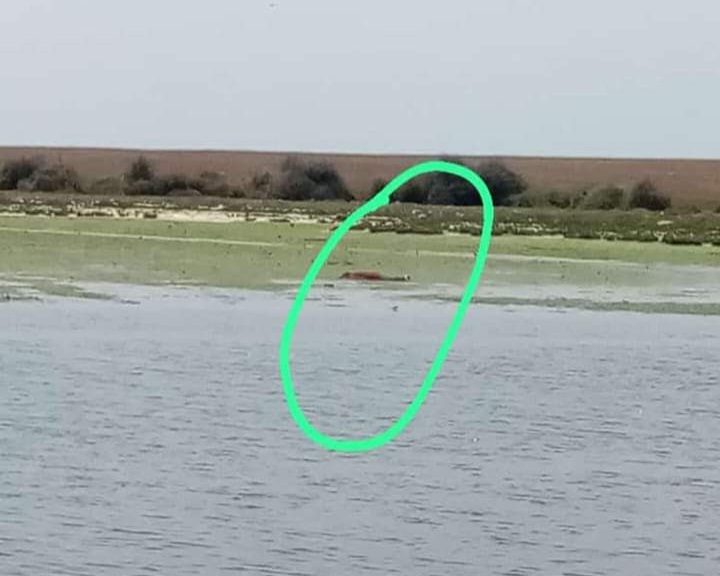 العثور على فتاة مختفية منذ عدة أيام جثة هامدة قرب بحيرة سيدي موسى بإقليم الجديدة