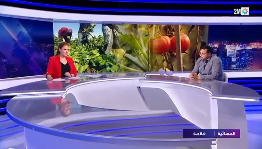 فلاحو منطقة أولاد غانم يتكبدون خسائر فادحة في محاصيل الطماطم والخضر