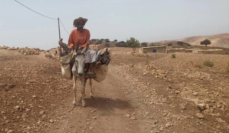 الجديدة: تدارس إكراهات الموسم الفلاحي المرتبطة بتبعات الجفاف بجهة الدار البيضاء – سطات