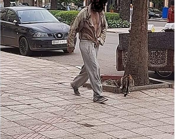 في عز موسم الاصطياف.. جحافل جديدة من المختلين عقليا تغزو شوارع وازقة مدينة الجديدة.