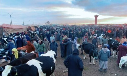 نقابة الفلاحين بسيدي بنور تشجب محاولات اقبار السوق الأسبوعي وتدعو للاسراع بتأهيله