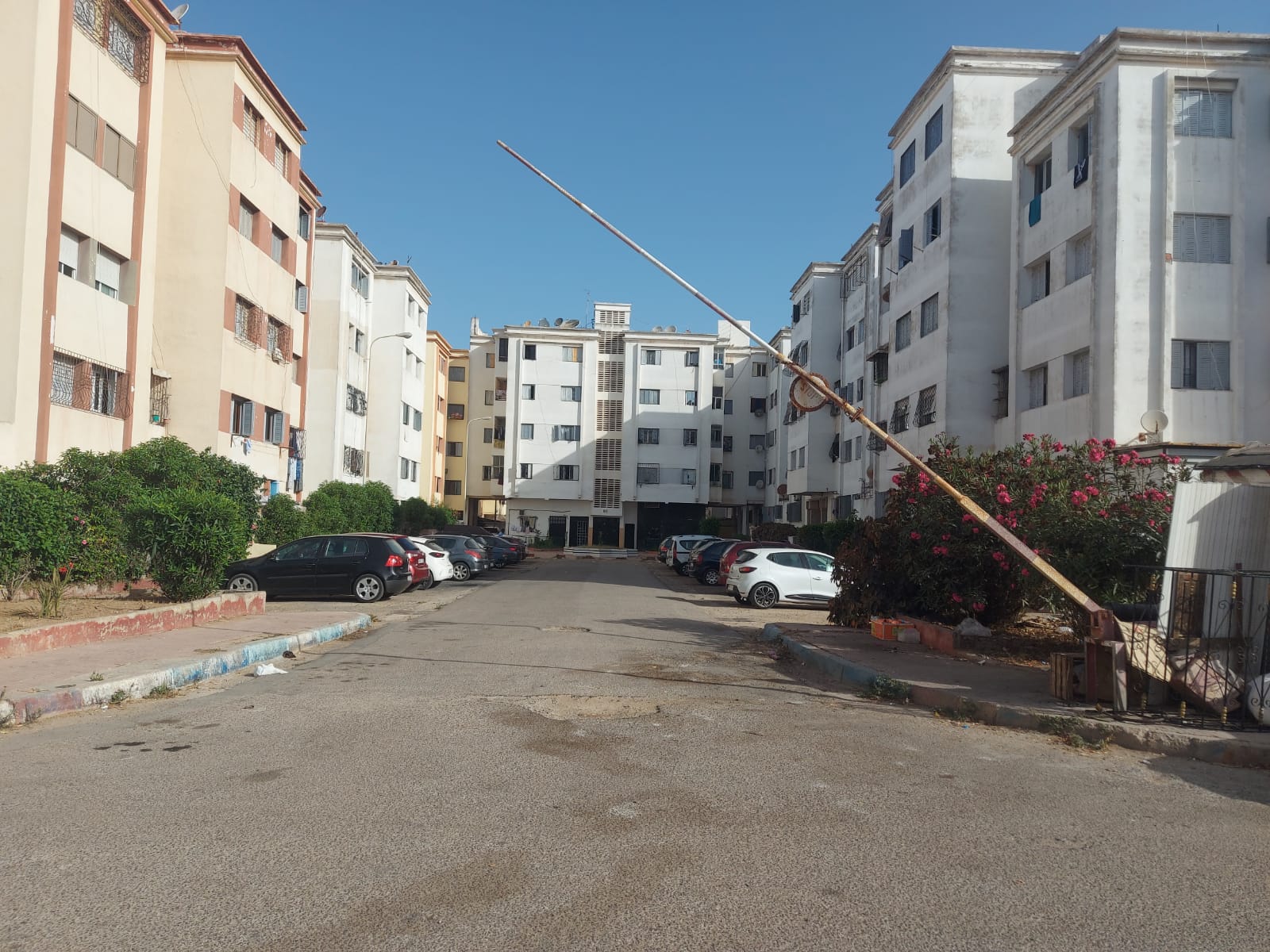 انتشار الحشرات والبعوض يؤرق ساكتة اقامات النور بالجديدة