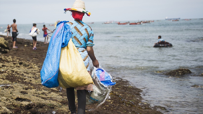 جني الطحالب بالجديدة .. مورد رزق لآلاف الأسر وانتعاشة للاقتصاد المحلي