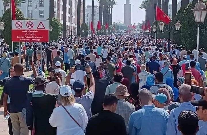 التنسيقية بديل عن العمل النقابي