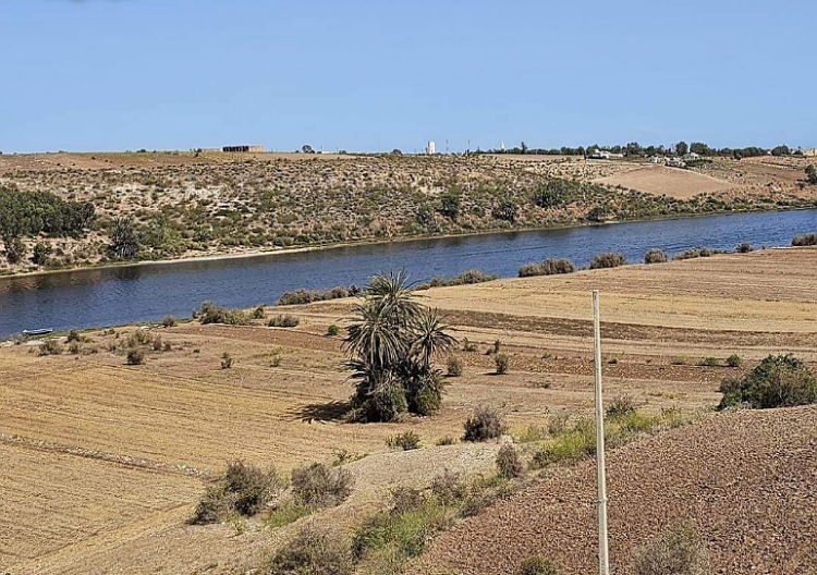 ''الشريان الحيوي للمغرب'' في أزمة مائية.. الجفاف يطال وادي أم الربيع بعد انخفاض منسوب مياهه إلى 5.6%