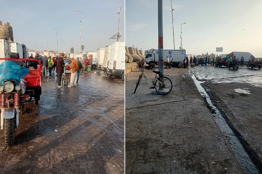 وضعية السوق العشوائي لبيع السمك بالجملة بالجديدة: تحديات صحية وبيئية تهدد المستهلك