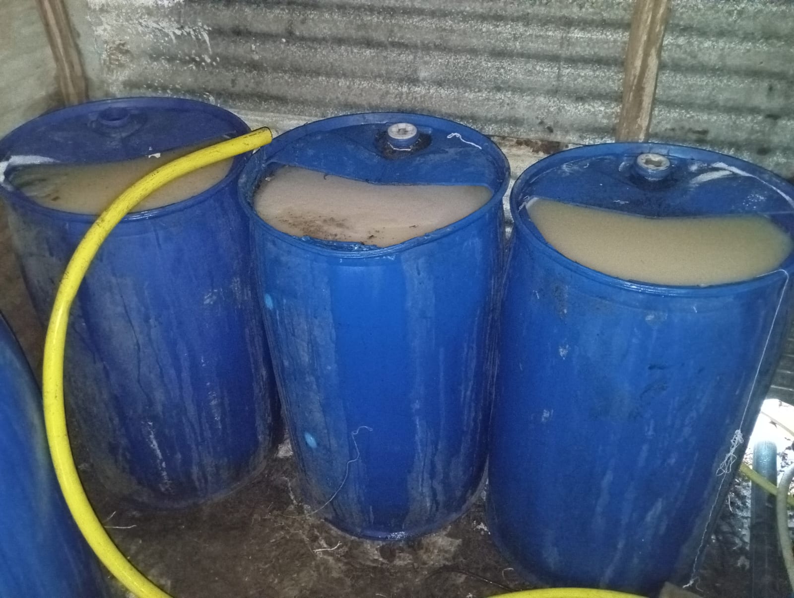 وتتواصل بلا هوادة الحرب التي تشنها جهوية الدرك بالجديدة على  مروجي '"الماحيا"