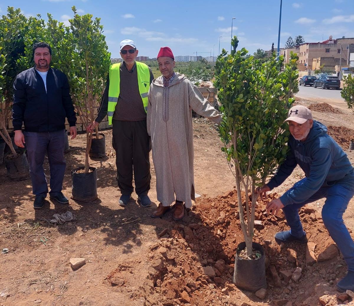 المجلس العلمي المحلي للجديدة وجمعية الفضاء الأخضر ينفذان مبادرة غرس 44 شجرة في ''درب لحونا''