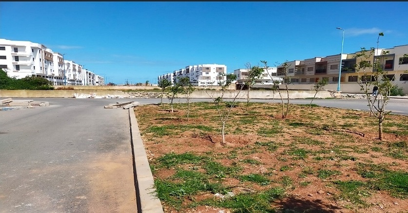 هل يتدخل عامل الجديدة لفتح هذا الشارع المهم في وجه السيارات ؟