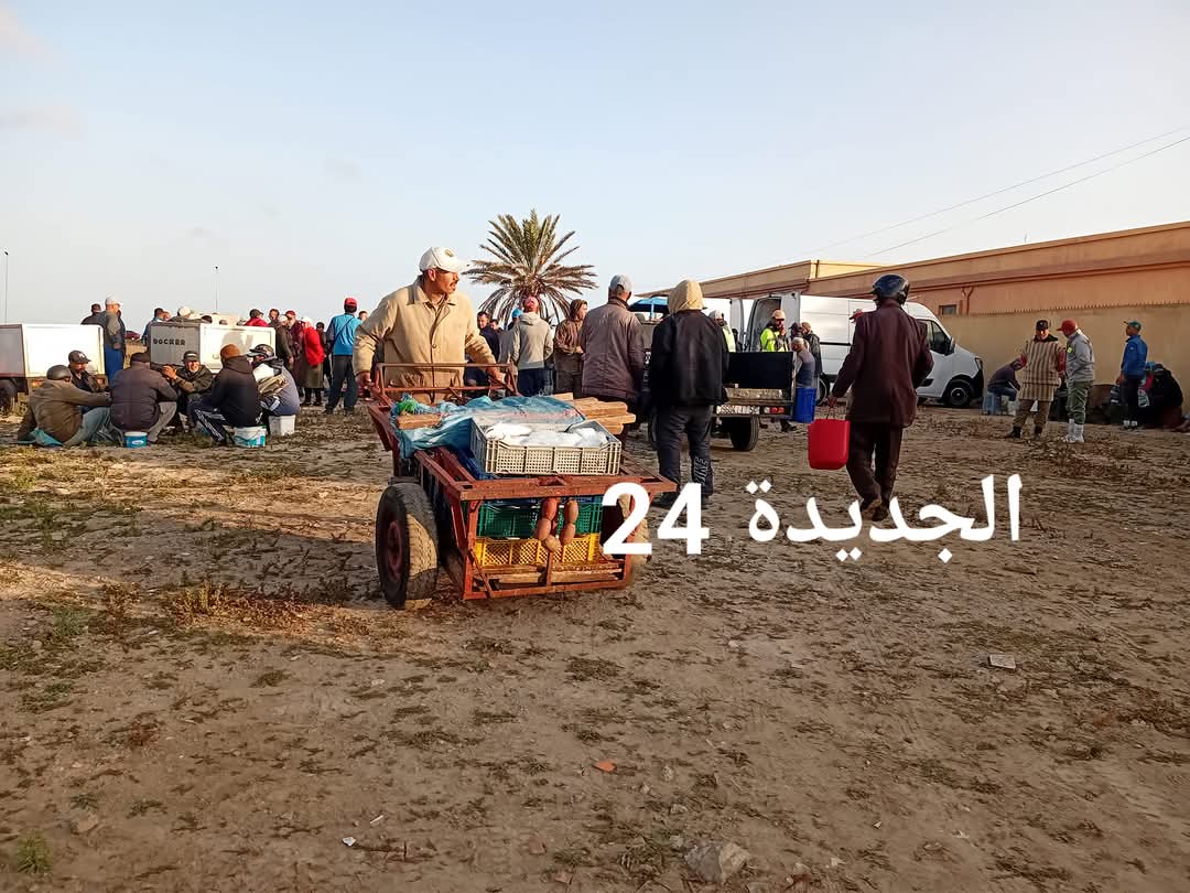 تجار السمك بالجديدة بين مطرقة واقع السوق وسندان اعتراض الساكنة وأصحاب العقار