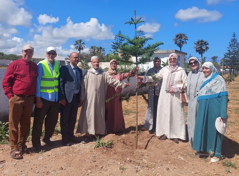 المجلس العلمي المحلي وجمعية الفضاء الأخضر يغرسان أشجار 'لاروكاريا' بمدخل مدينة الجديدة