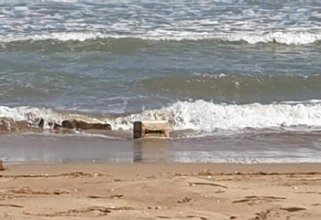 مياه البحر تلفظ كمية من الكوكايين بشاطئ الزحيحيف بجماعة الحوزية