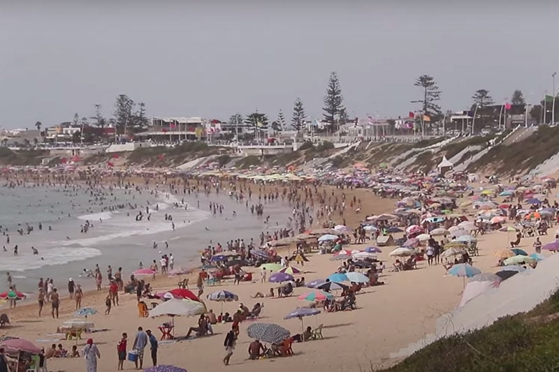 الجديدة.. تتنوع الأشكال والريع واحد