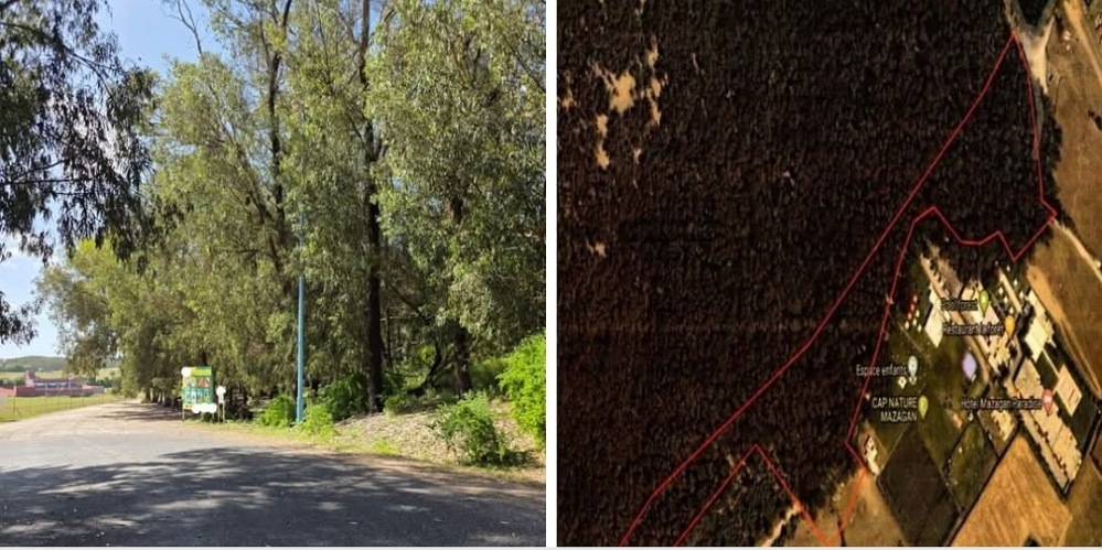 متورطون في الاستلاء على عقارات في غابة الحوزية ..  إيقاف 14 شخصا على ذمة التحقيق بالجديدة