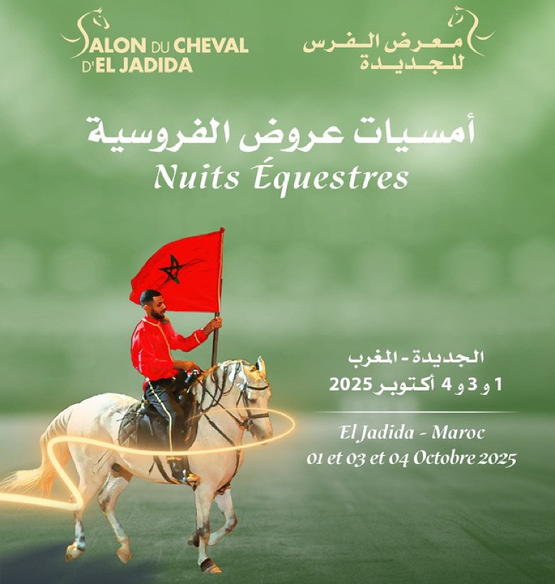 لأول مرة في معرض الفرس للجديدة.. عرض 3 أمسيات لعروض اﻟﻔﺮوﺳﻴﺔ الليلية في نسخة 2025