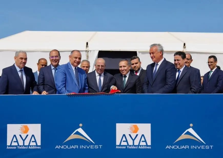 مجموعة أنوار إنفيست تدشن مشروع AYA بالجرف الأصفر لتعزيز السيادة الغذائية والبيوتكنولوجية للمغرب