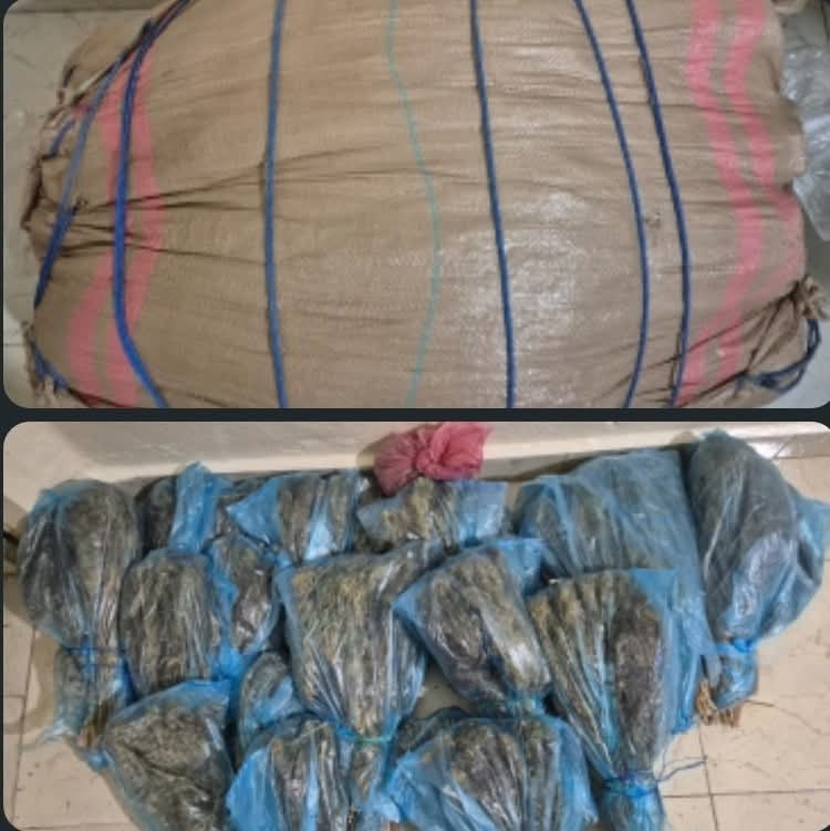 مصالح جهوية درك الجديدة توقف ثلاثة تجار مخدرات