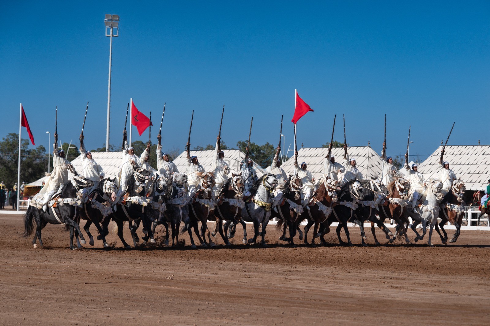 سربة عبد الغني بنخدة جهة بني ملال – خنيفرة تُتوج بجائزة الملك محمد السادس للتبوريدة