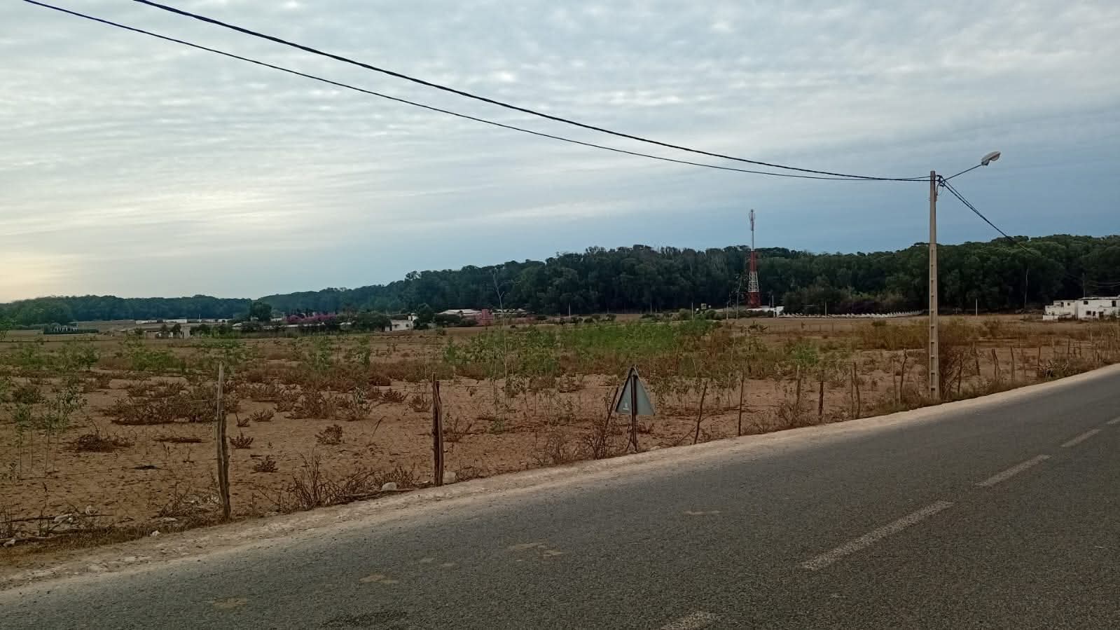 الجديدة.. تأجيل محاكمة شبكة 'السمسرة والتلاعب بالمزادات العقارية' إلى 4 نونبر المقبل